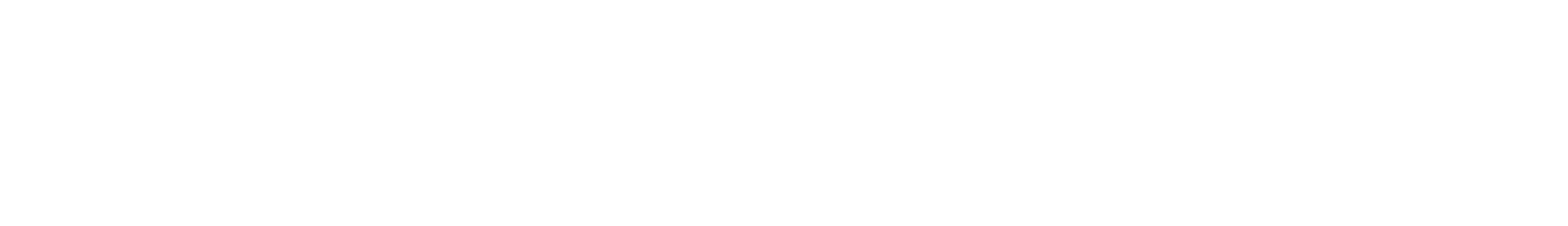 Paintzone LLC